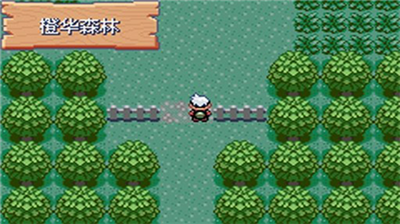 口袋妖怪究极绿宝石内购版5.5