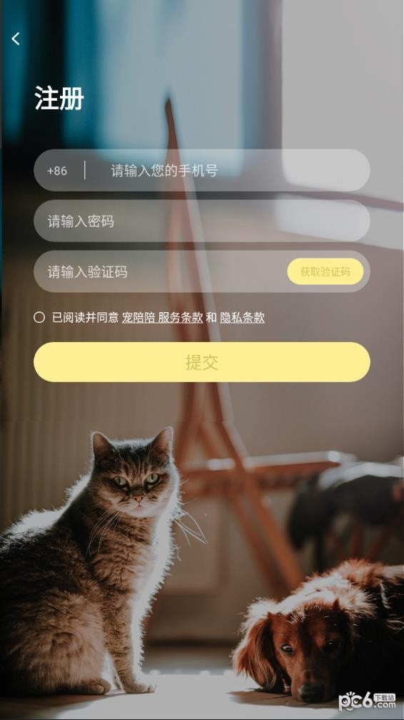 宠陪陪
