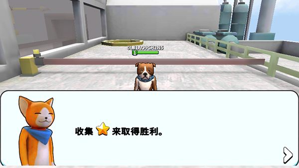 动物派对