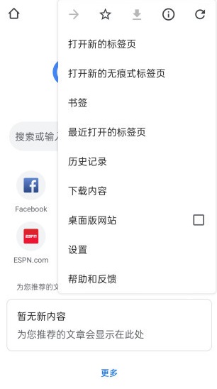 谷歌浏览器Google Chrome