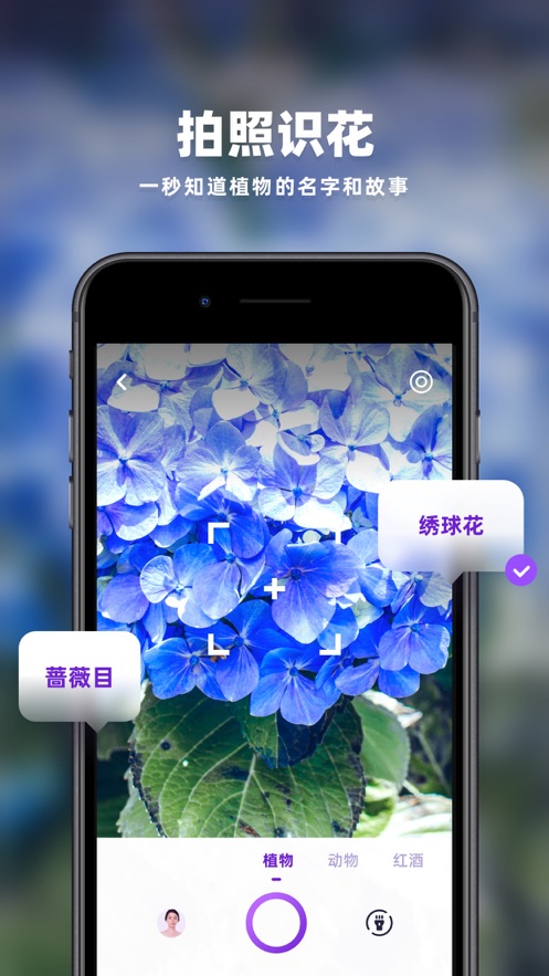 趣扫