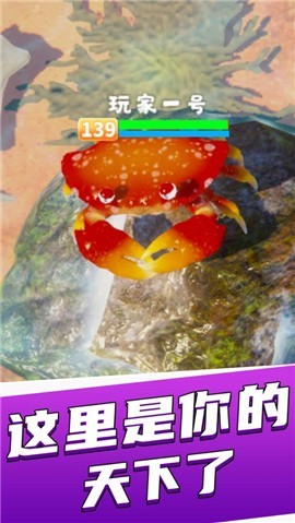 最强大螃蟹APP最新版